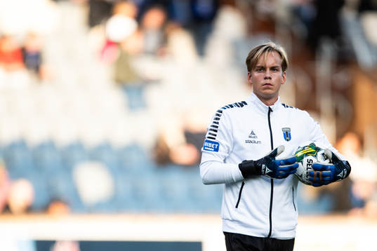 Sirius Hannes Sveijer