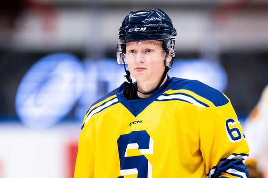 Södertäljes Julius Bergman