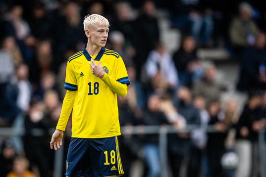 Sveriges Viggo Karlsson
