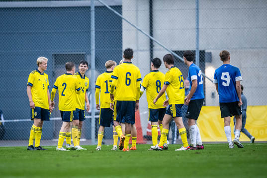Sveriges spelare jublar