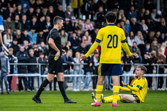 Domare Ivan Prgomet och Sveriges Neo Jönsson