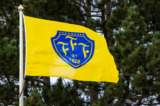 Falkenbergs flagga
