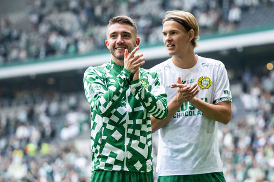 Hammarbys Anton Kralj