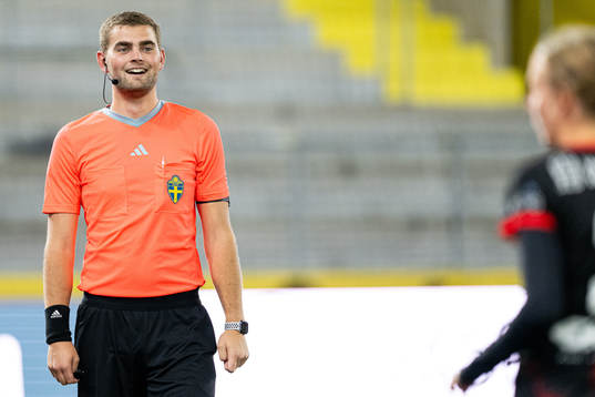 Domare Rasmus Hermansson