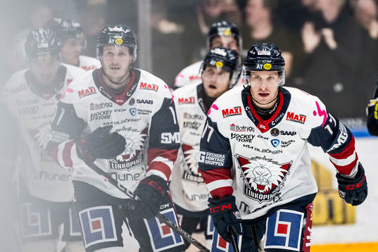 Linköpings Sebastian Strandberg jublar