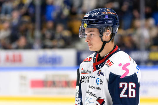 Linköpings Fabian Wagner