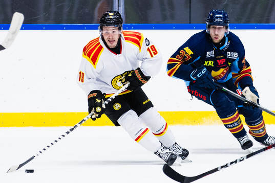 Brynäs Tyler Kelleher och Djurgårdens John Norman