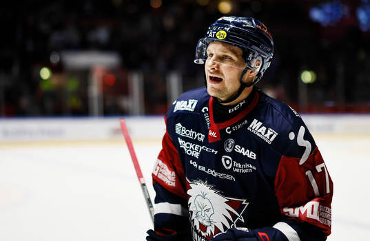 Linköpings Sebastian Strandberg jublar