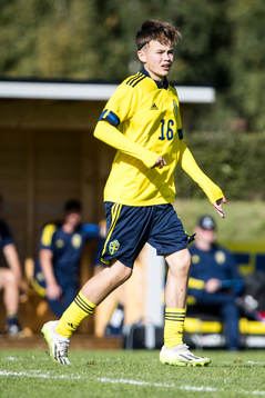 Sveriges Melwin Hedman