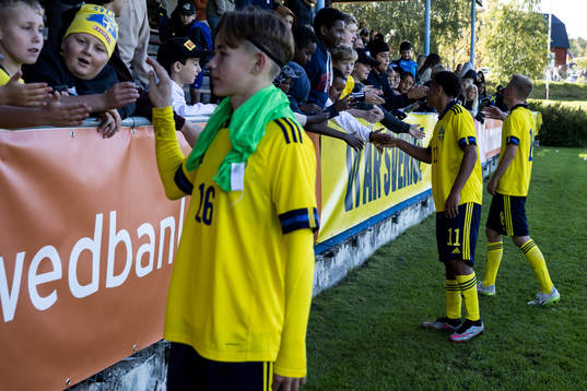 Sveriges Melwin Hedman