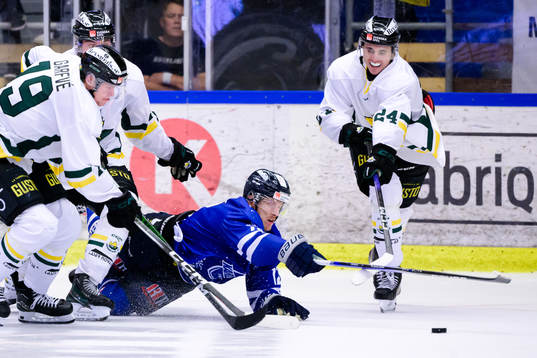 under ishockeymatchen i Hockeyallsvenskan mellan Karlskoga