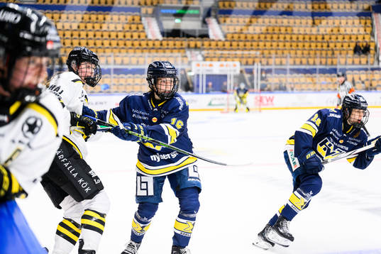 HV71s Kajsa Armborg