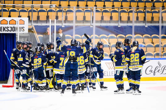 HV71s spelare jublar