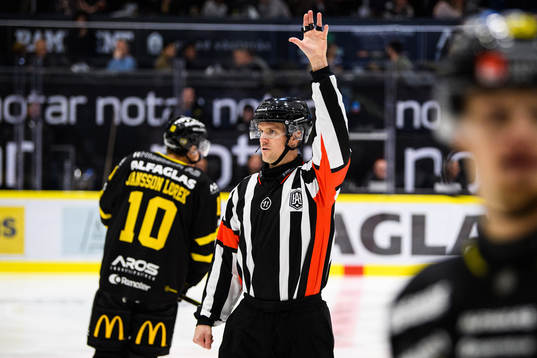 Domare Stefan Johansson