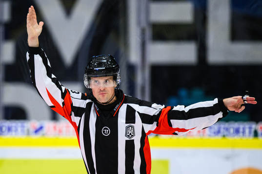 Domare Stefan Johansson