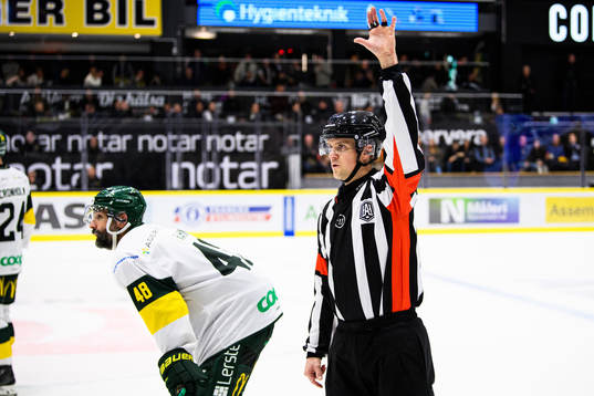 Domare Stefan Johansson