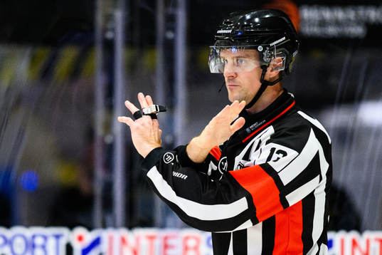 Domare Stefan Johansson