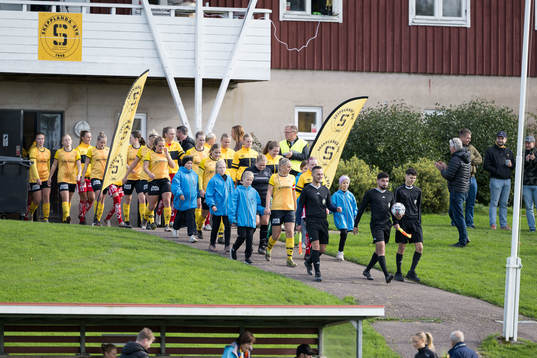 Lagen kommer in till match