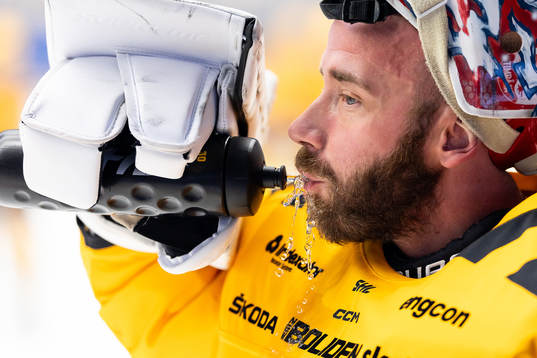 Skellefteås målvakt David Rautio