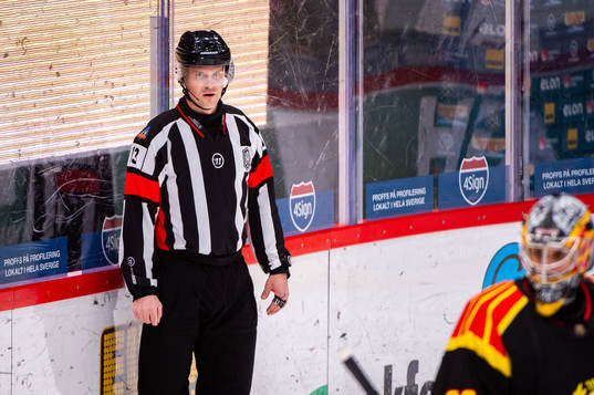 Domare Stefan Johansson