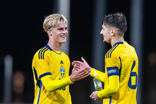 Lucas Bergvall and Armin Gigovic of Sweden celebrate