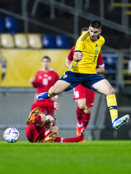 Vicu Bulmaga of Moldova and Mayckel Lahdo of Sweden