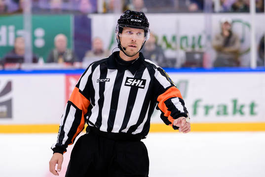 Domare Andreas Harnebring