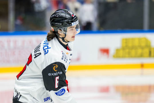 IF Malmö Redhawks Dominik Badinka