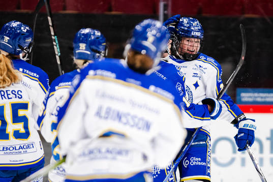 Leksands Shay Maloney jublar
