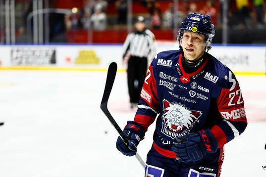 Linköpings Vilmos Gallo jublar