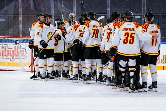 Brynäs spelare jublar