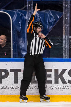 Domare Mikael Sjöqvist