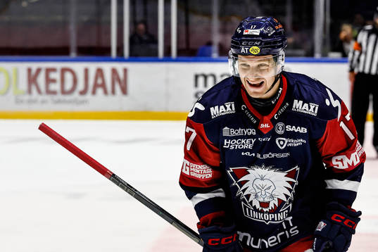 Linköpings Sebastian Strandberg jublar