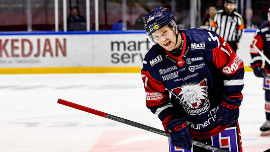 Linköpings Sebastian Strandberg jublar