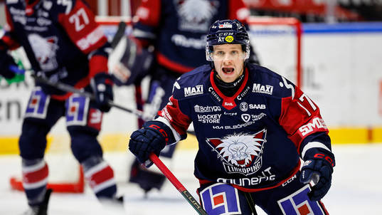 Linköpings Sebastian Strandberg jublar