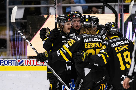 Västerås Elias Pettersson jublar med lagkamrater