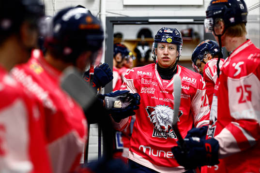 Linköpings Vilmos Gallo