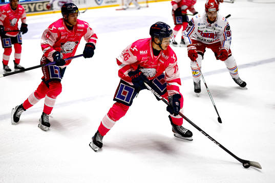 Linköpings Fabian Wagner