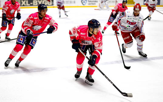 Linköpings Fabian Wagner