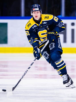 Södertäljes Julius Bergman