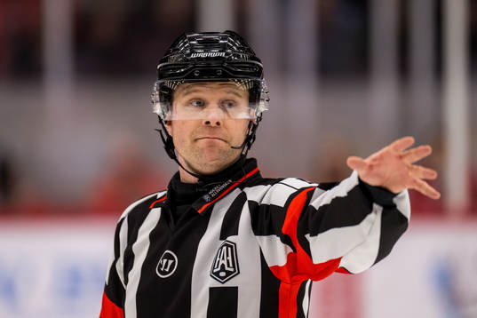 Domare Stefan Johansson