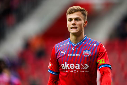 Helsingborgs Erik Ring