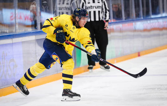 Marcus Hardegård of Sweden