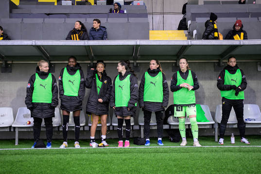 Häckens avbytarbänk