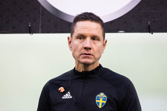 Domare Martin Strömbergsson