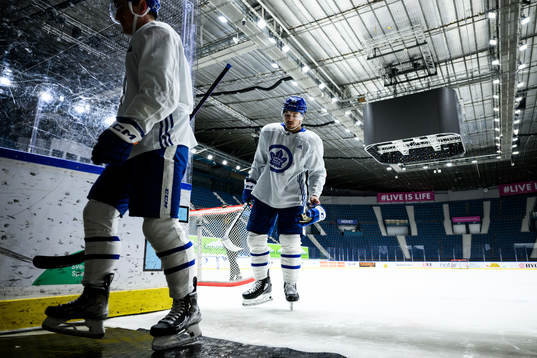 Nicholas Robertson of Toronto Maple Leafs