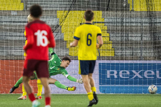 Sveriges målvakt Elis Bischesari