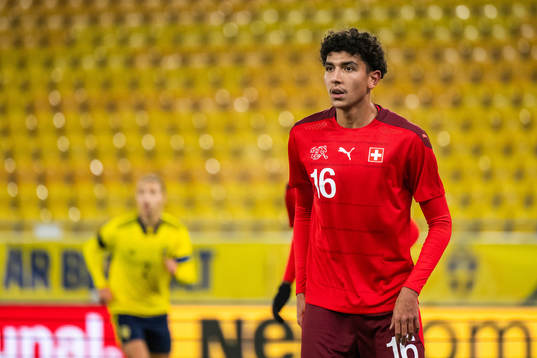 Schweiz Mohsen Abdeljaoued