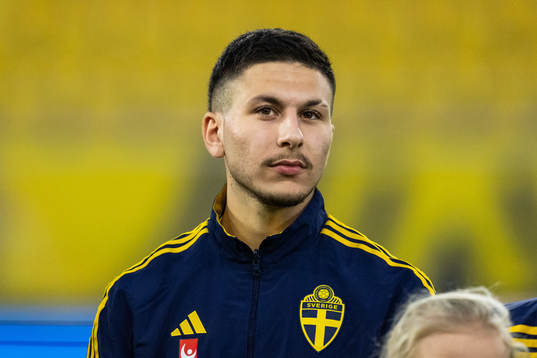 Roony Bardghji of Sweden
