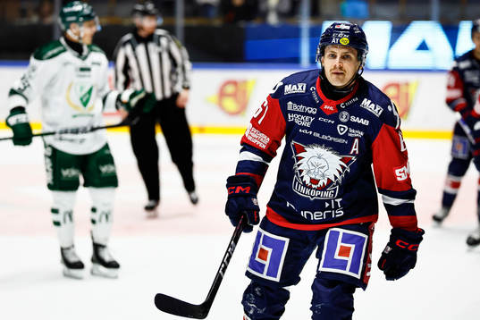 Linköpings Markus Ljungh jublar